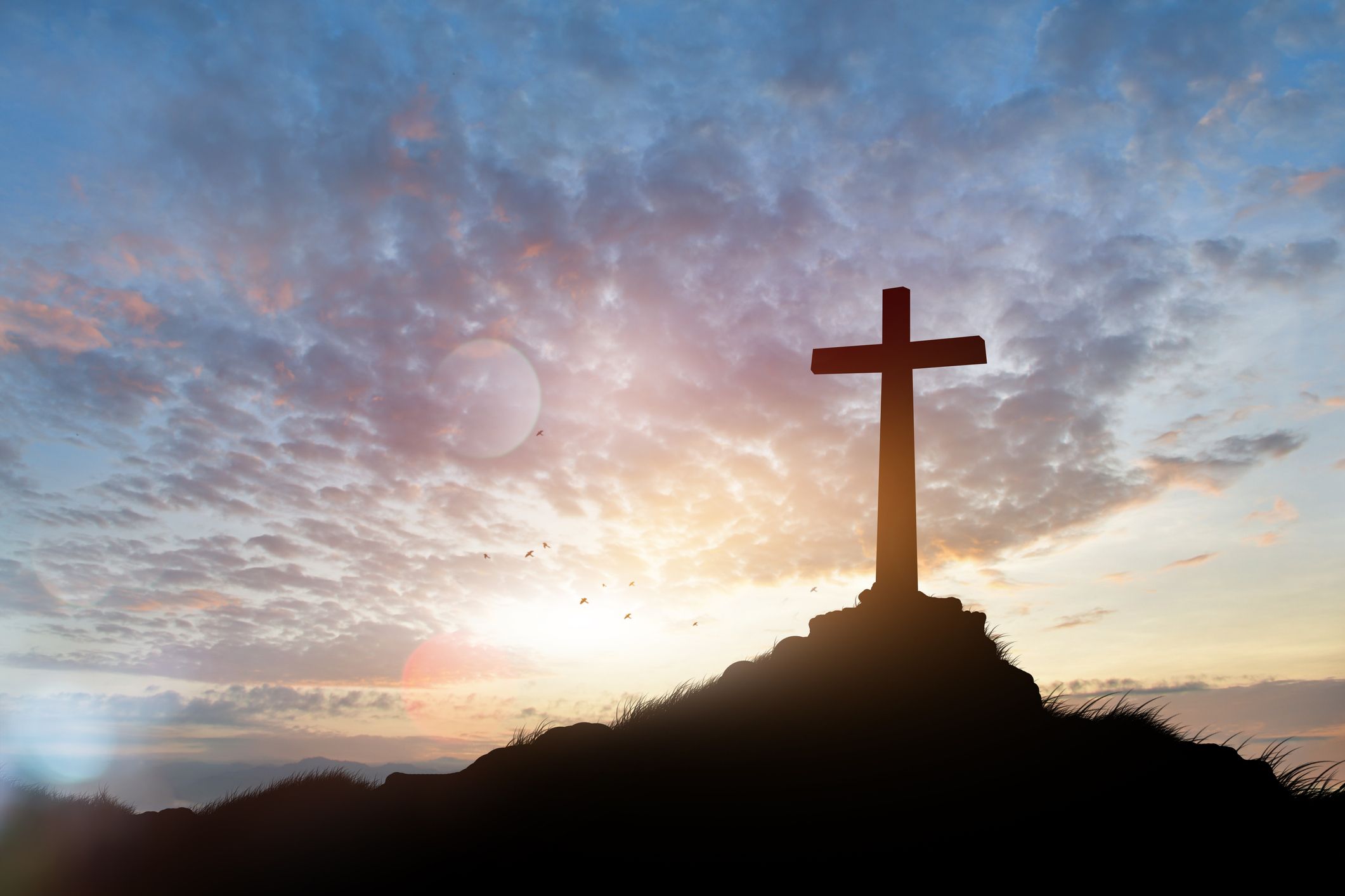 EASTER WEEK V [Yr. A] (May 3, 2026): Acts 6:1-7, 1Pt 2:4-9, Jn 14:1-12. By: Rev. Fr. Clifford Atta Anim.