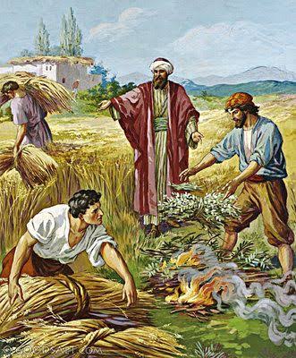 Ordinary Time Week 16 (Yr. A) (July 19, 2026) Wis 12:13, 16-19; Rom 8:26-27; Mt 13:24-43. By: Rev. Fr. Clifford Atta Anim.